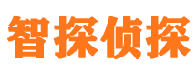 莱城外遇调查取证